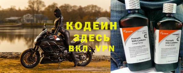 сатива Надым